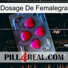 Femalegra Dosage 13